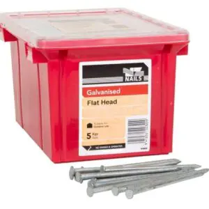 150 x 6.0 Galv Flat Head Nails 5kg