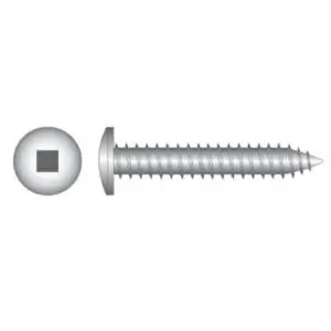 10g x 40mm Pan Square Self Tapper Screw Stainless Steel T304 Jar 100
