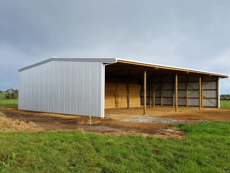 19.2_x_12.0_gable_with_1.0m_overhang_2_0