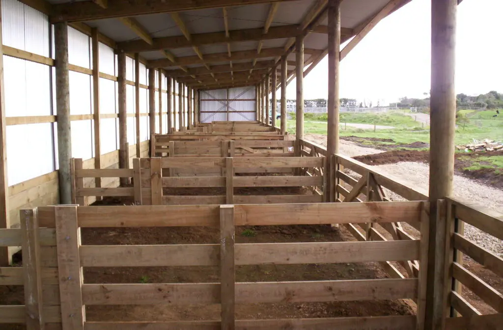 45.0 x 4.5m Leanto Calving shed for Peter Cook (2)