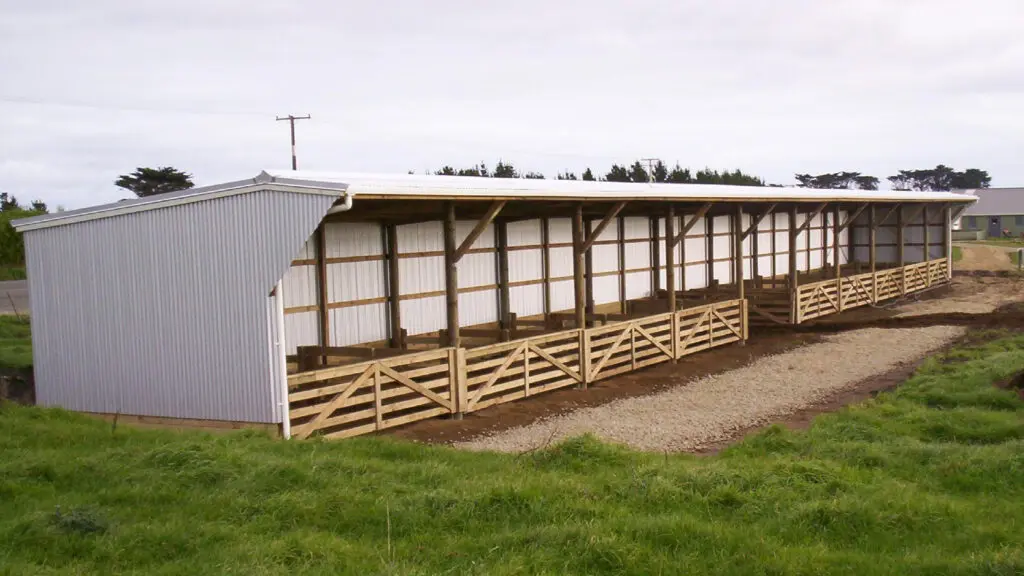 SHED4