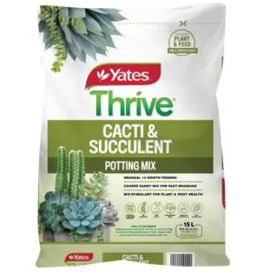 Thrive Cacti & Succulent mix 15l