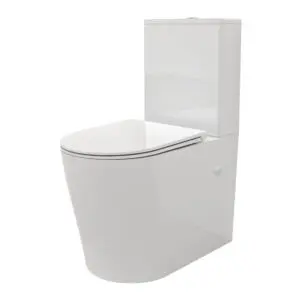 Newtech Casalino Rimless BTW Toilet