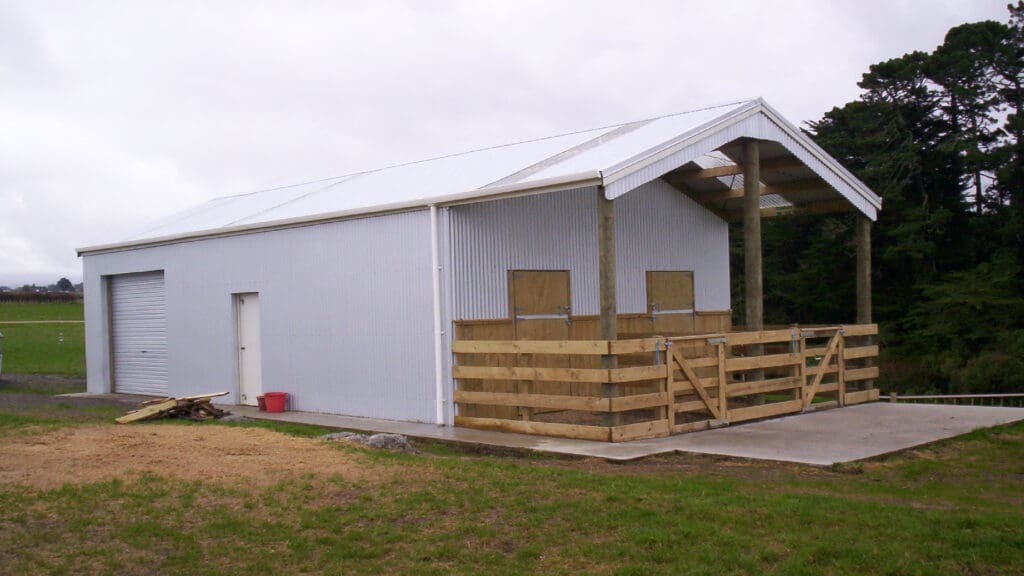 SHED6