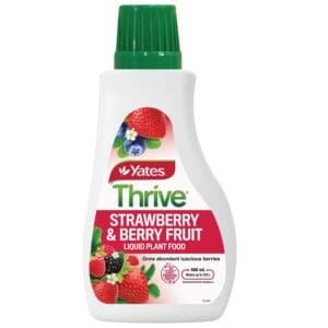 Thrive Strawberry Liquid Plant Food 500m