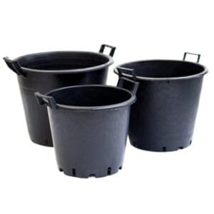 50L Tub With Handles